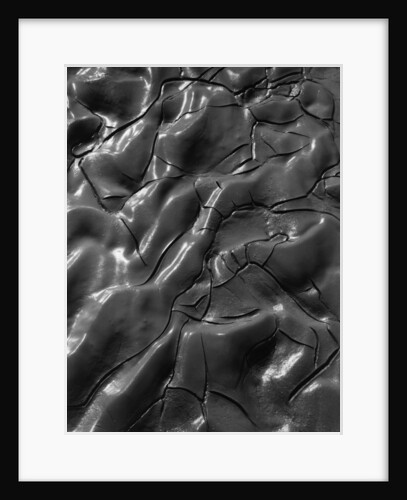 Shiny Wet Mud by Anonymous