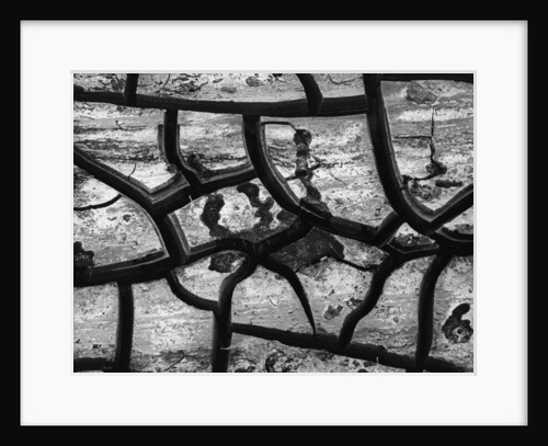 Cracks In Dry Mud by Anonymous