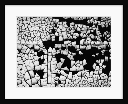 Cracked Paint by Anonymous