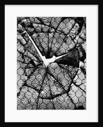 Broken Textured Glass by Anonymous