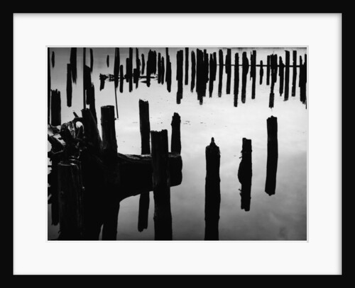Wood Piles by Anonymous