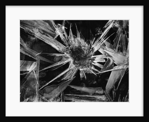 Ice Crystal, 1965 by Anonymous