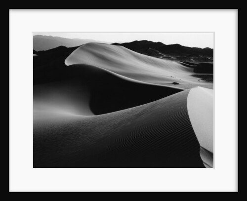Curvy Ridge of Sand Dunes by Anonymous