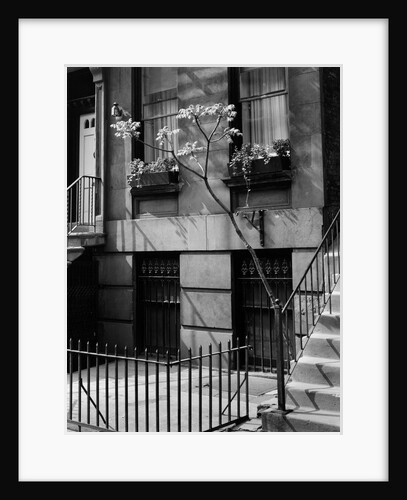 Brownstones by Brett Weston