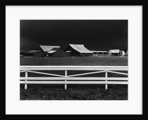 Virginia Farm, 1947 by Anonymous