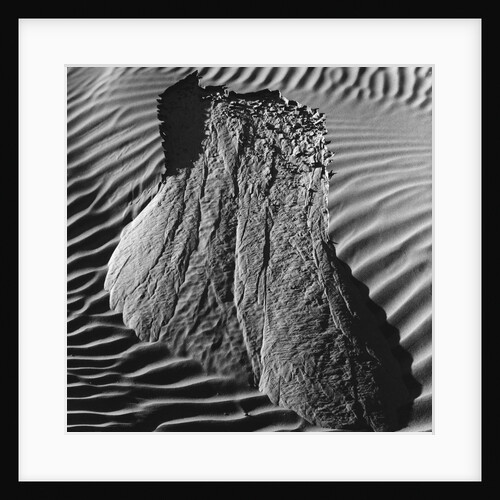 Sand Erosion by Brett Weston