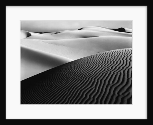 Dune Landscape by Anonymous