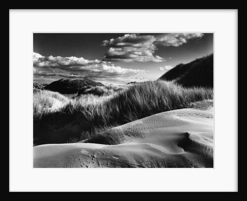 Dunes and Grasses, Oceano, 1957 by Anonymous