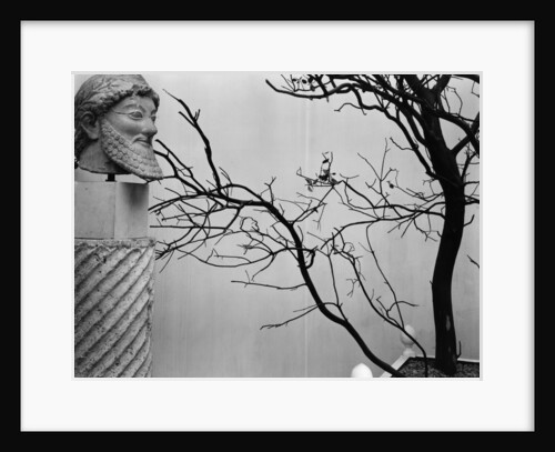 Archaic Greek Sculpture Bust and Tree, California, 1952 by Anonymous