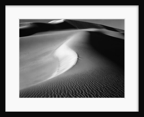 Dunes, California, 1954 by Anonymous