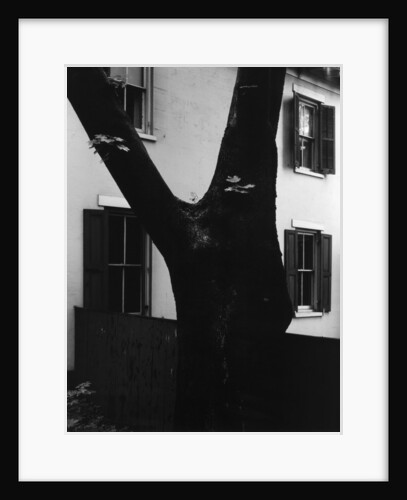 Tree and House, 1960 by Anonymous