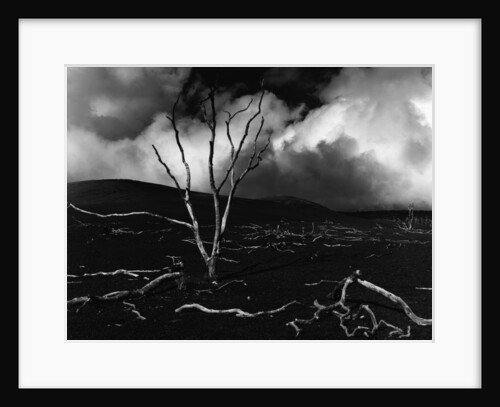 Volcano, 1980 by Anonymous