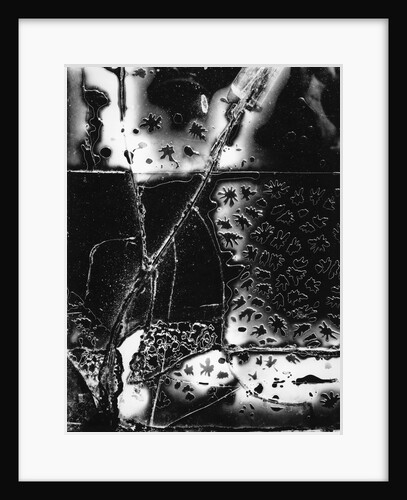 Broken Glass by Brett Weston