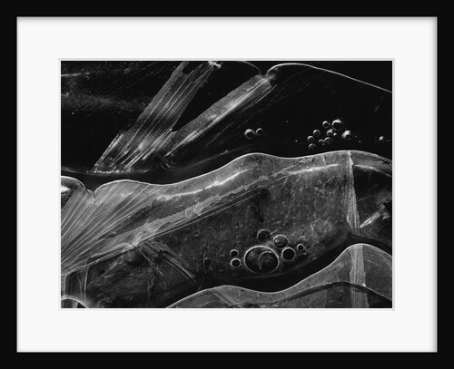 Ice Form, Oregon, 1969 by Anonymous