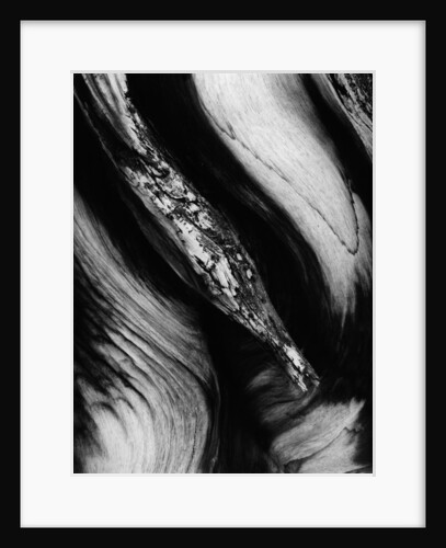 Wood by Anonymous