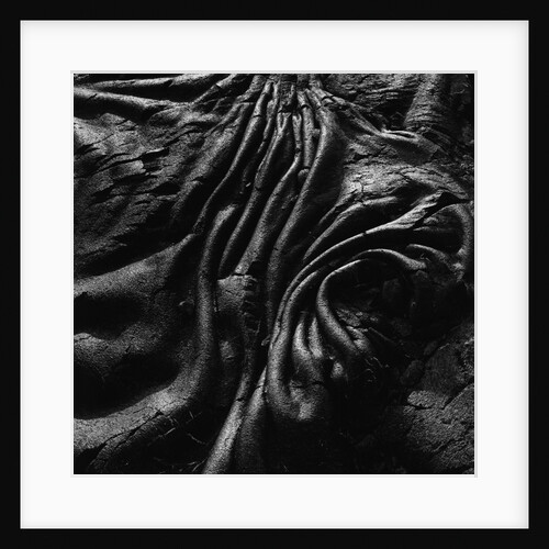 Lava by Anonymous