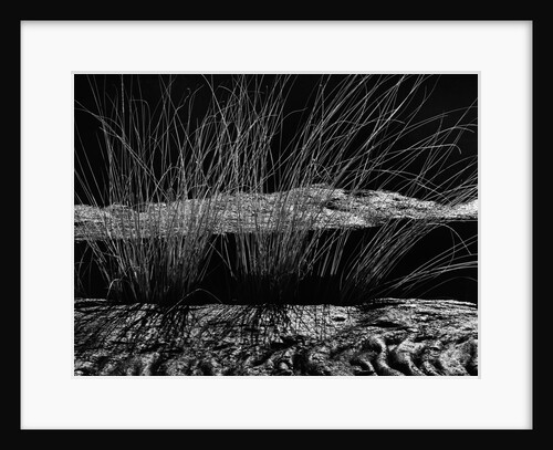 Grass and Lava by Anonymous