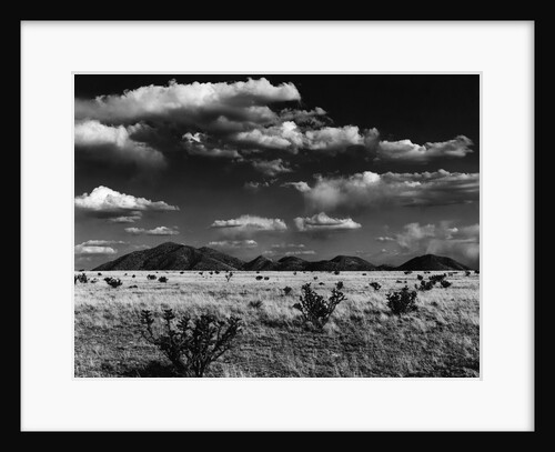 Desert Plain by Anonymous