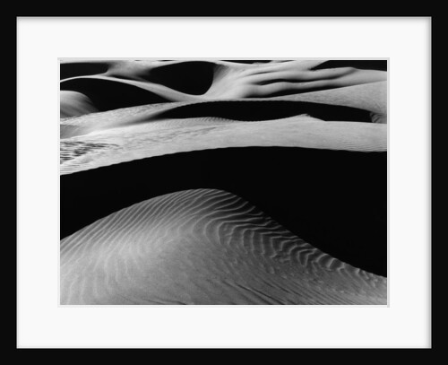 Dune Landscape by Anonymous