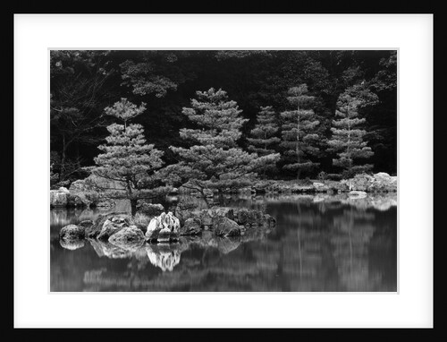 Pond and Pines by Anonymous