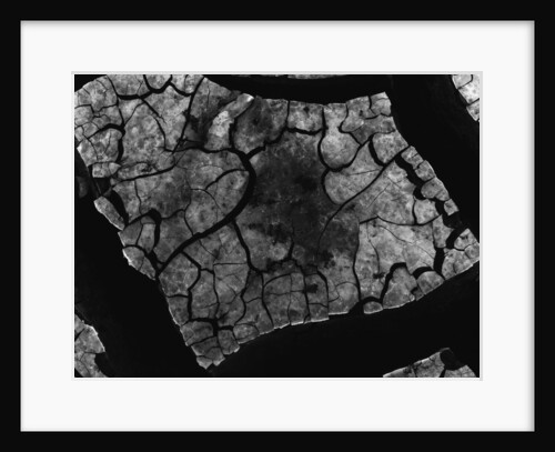 Cracked Mud by Anonymous