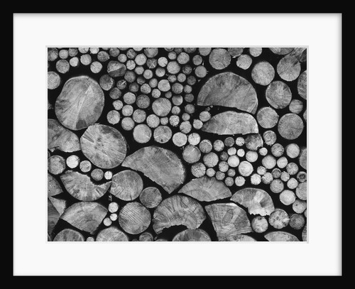 Lumber by Anonymous
