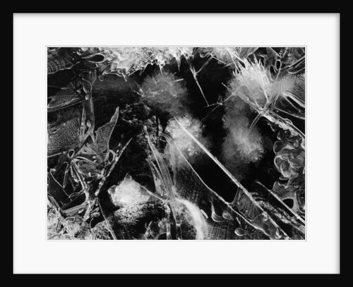 Ice, Mono Lake, 1958 by Anonymous