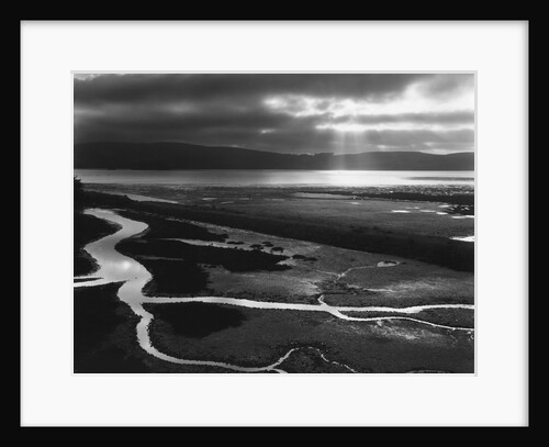 Tomales Bay, 1955 by Anonymous