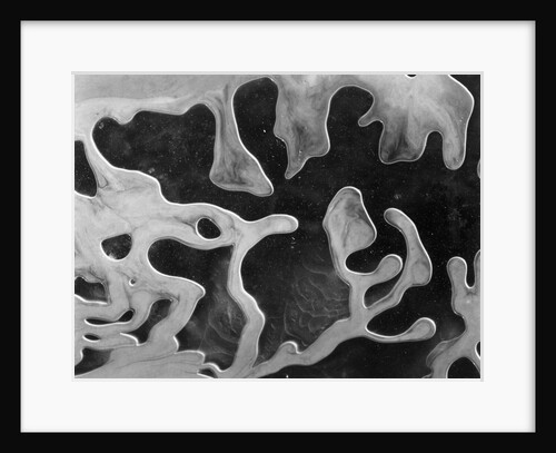 Liquid Abstraction, California, 1956 by Anonymous