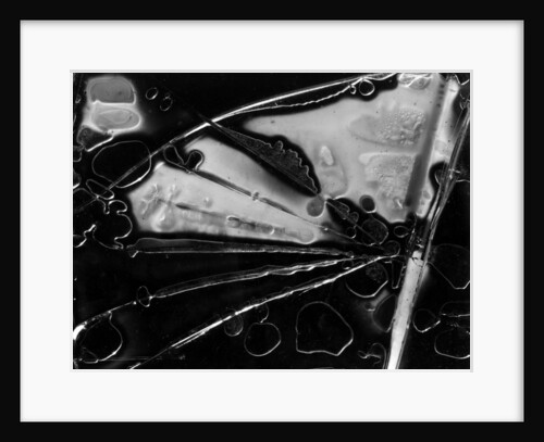 Glass Abstraction, California, 1954 by Anonymous