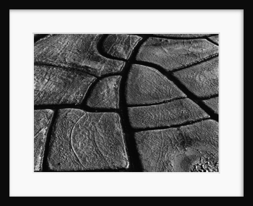 Mud Cracks by Brett Weston