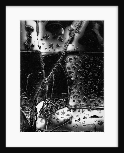 Broken Glass, 1955 by Anonymous