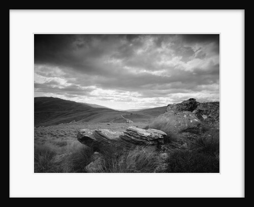 New Zealand Uplands by Anonymous