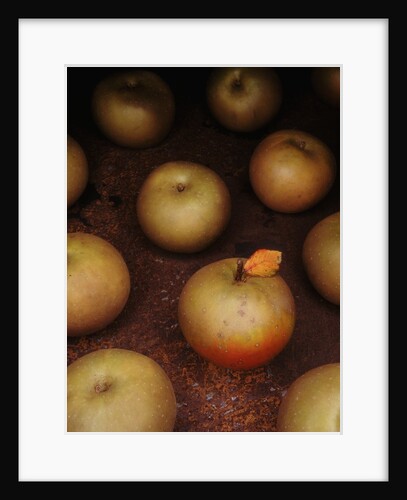 Apple With Leaf by Anonymous
