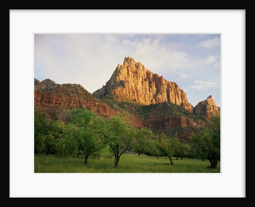 Orchard at the Base of a Rock Formation by Anonymous