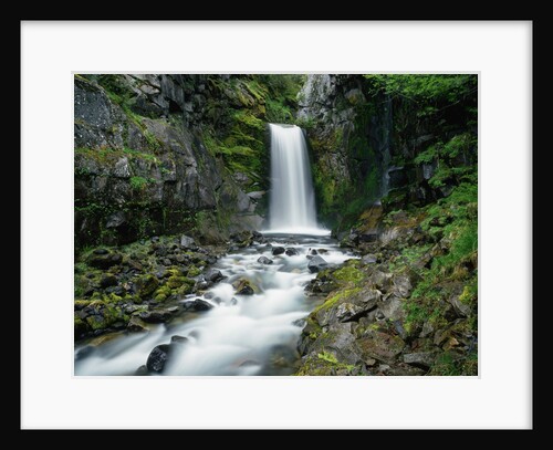 Christine Falls by Anonymous