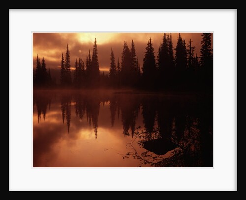 Trees Reflecting in a Lake by Anonymous