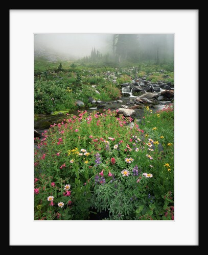Flowers on a River Bank by Anonymous