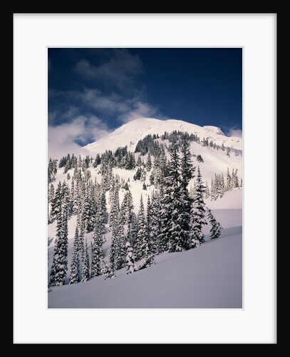 Mount Rainier by Anonymous