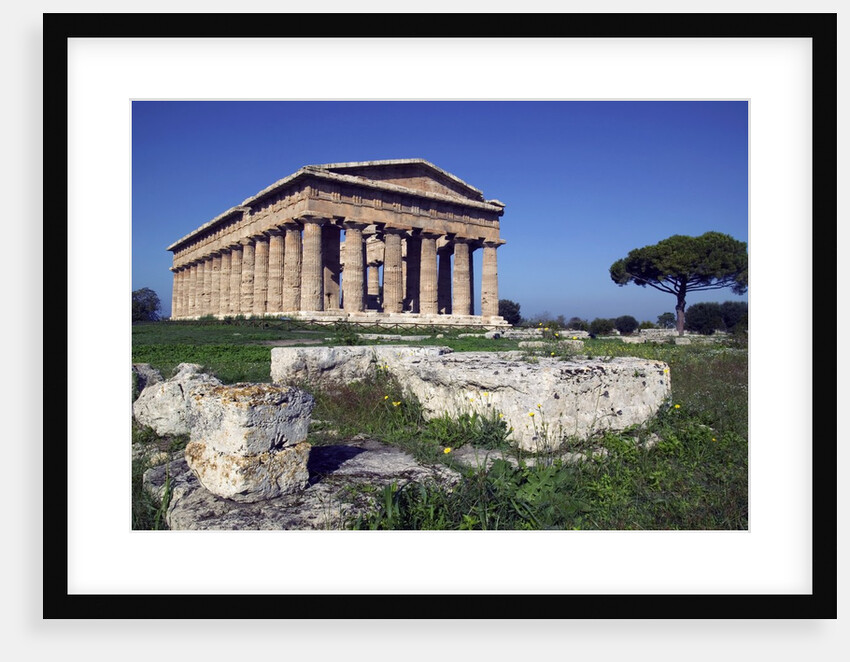 Ruins of the Temple of Neptune by Anonymous