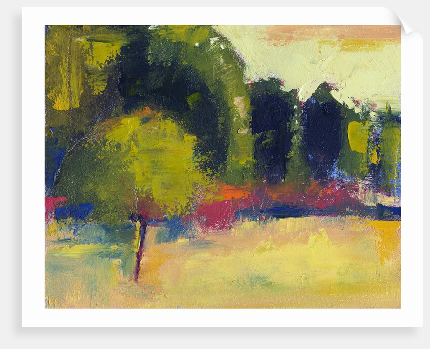 Yellow Field by Anonymous