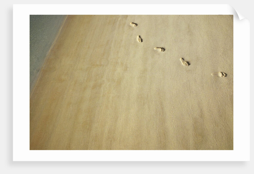 Aerial shot of footprints in wet sand by Anonymous