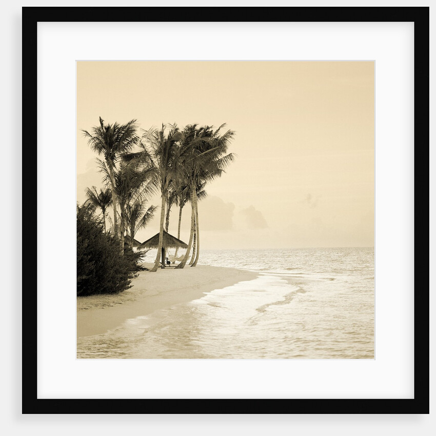 Tropical beach by Anonymous