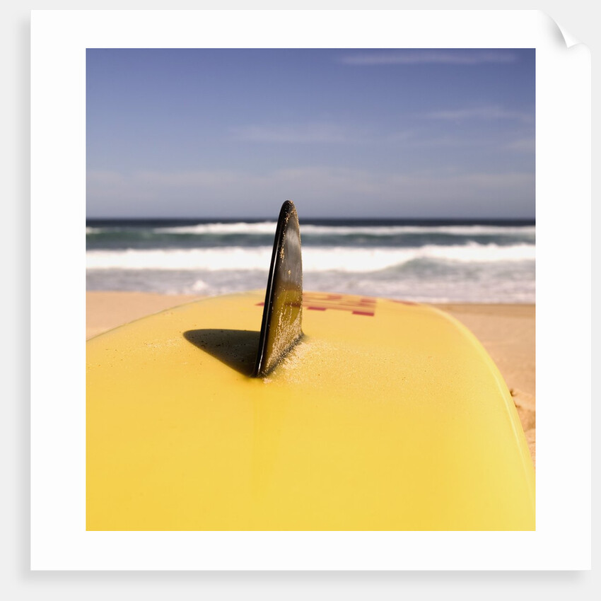 Lifeguard's Surfboard on Beach by Anonymous