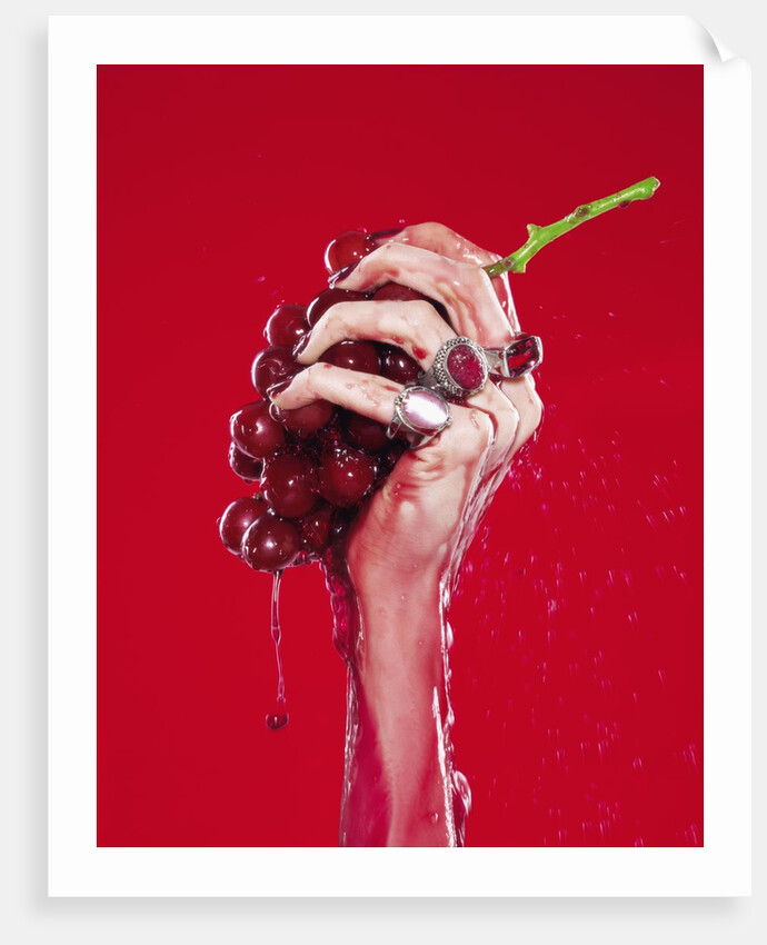 Woman's Hand Squeezing Red Grapes by Anonymous