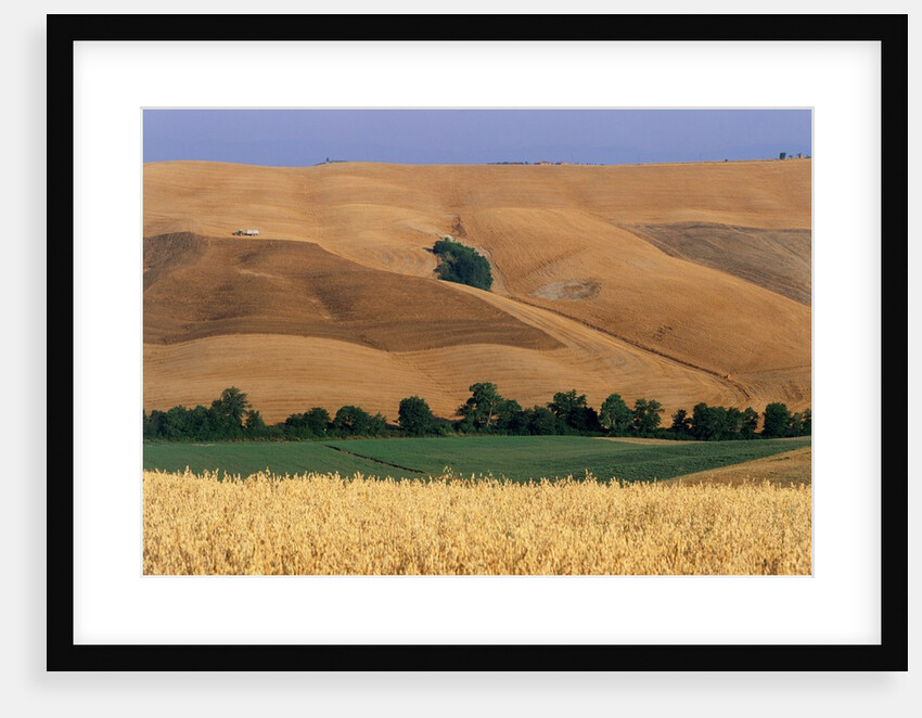Italy, Tuscany, Crete Senesi by Anonymous