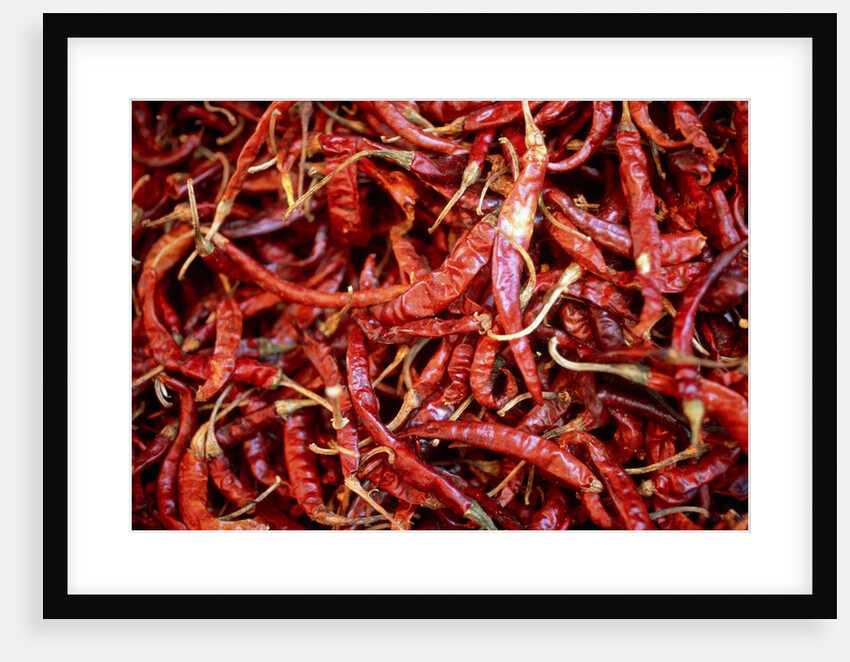 Red chili peppers (Ocotlan market, Oaxaca, Mexico) by Anonymous