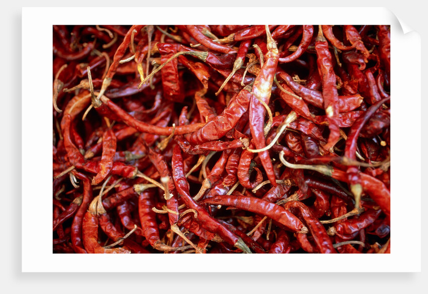 Red chili peppers (Ocotlan market, Oaxaca, Mexico) by Anonymous