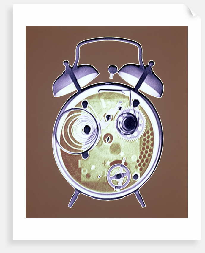 Cross-section of Alarm Clock by Anonymous