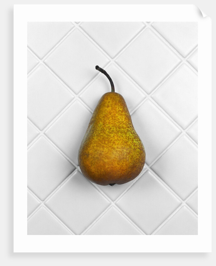 Pear in front of white background by Anonymous